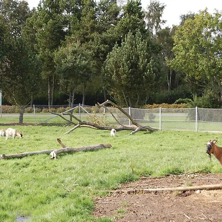 Casa de Férias Cozy In With Sauna Oksbøl